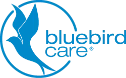Bluebird Care Logo